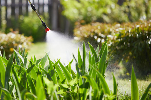 24/7 Emergency Mosquito Control experts in Carencro, LA