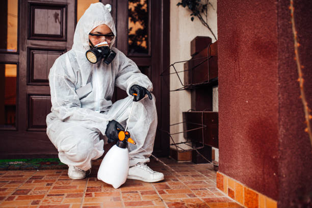 Reliable Mosquito Control contractor in Carencro, LA by Show Me Pest Control