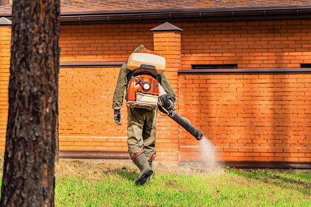 Top rated local Mosquito Control specialists in Carencro, LA
